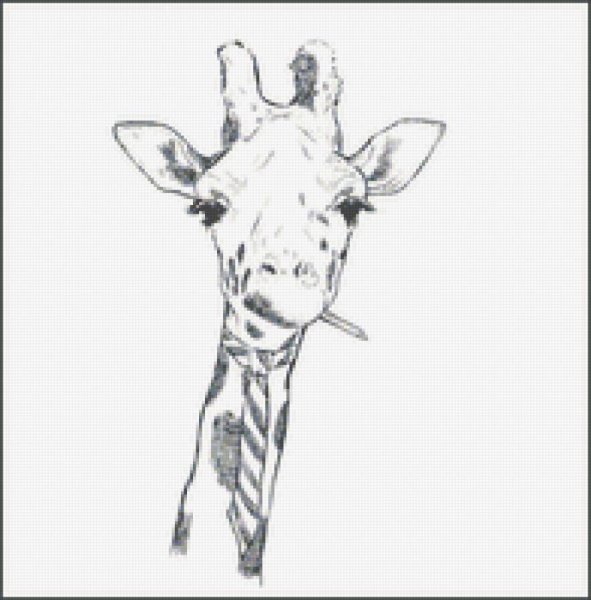 Жираф эскиз