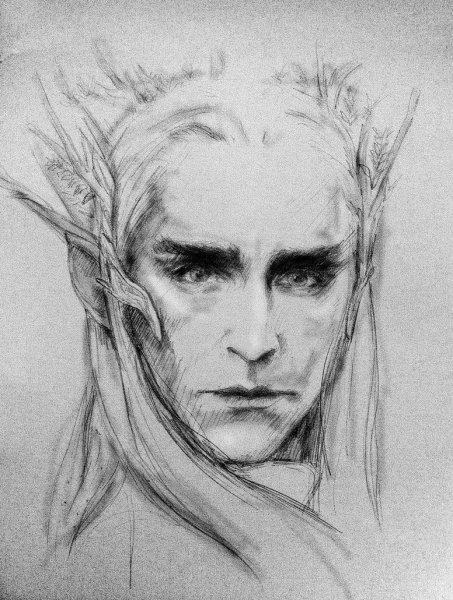 Торин Дубощит тату