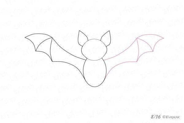 Летучая мышь Графика