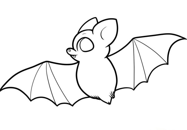 Летучая мышь карандашом
