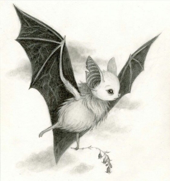 Летучая мышь эскиз