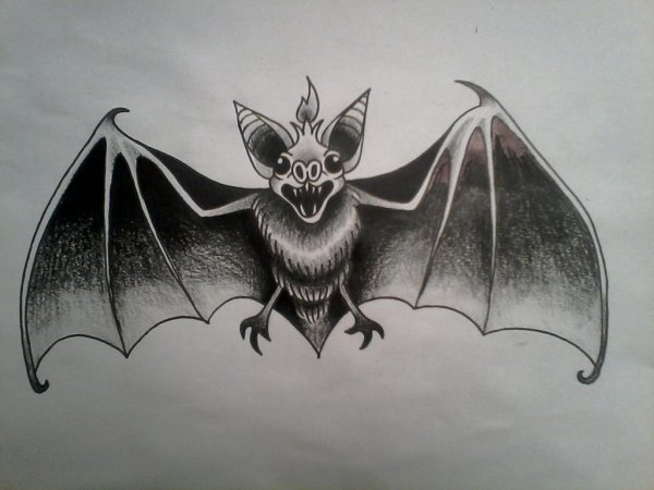 Летучая мышь