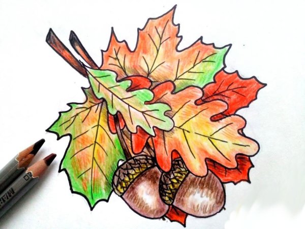 Букет осенних листьев рисунок