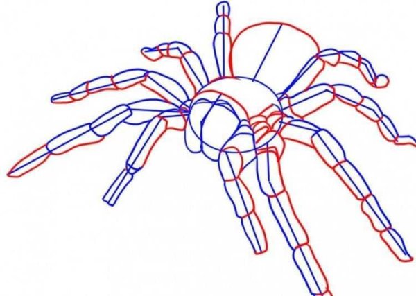 Объемные пауки тату