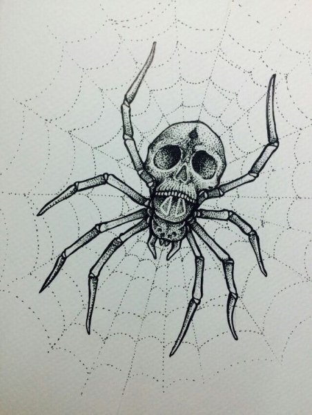 Паук набросок