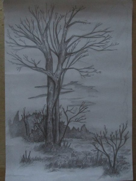 Зарисовки осени карандашом