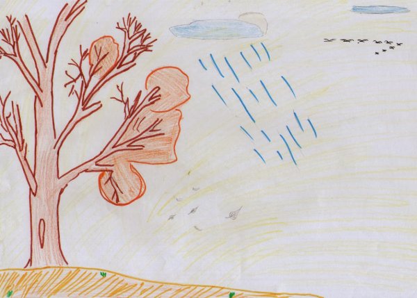 Рисунок красота осени