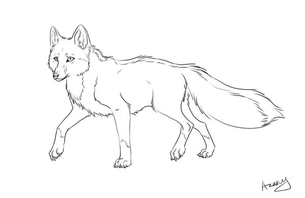 Красный волк раскраска для детей