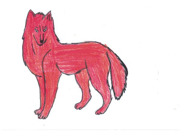 Легкие рисунки красного волка