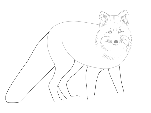 Контур лисы для рисования