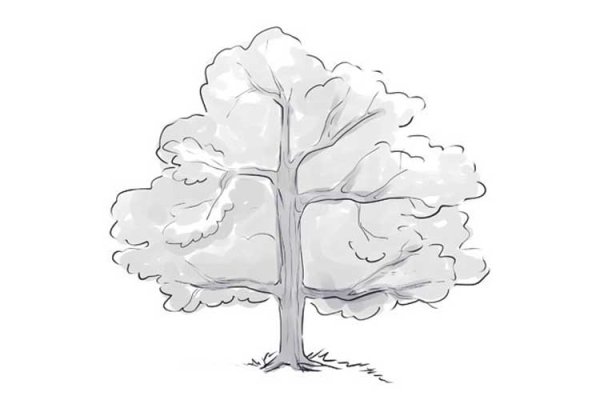 Листья деревьев карандашом для срисовки