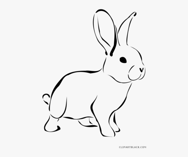 Кролик вектор на прозрачном фоне