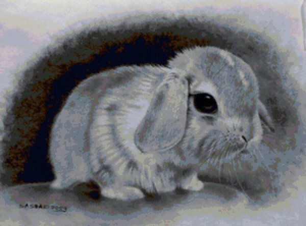 Кролик простым карандашом