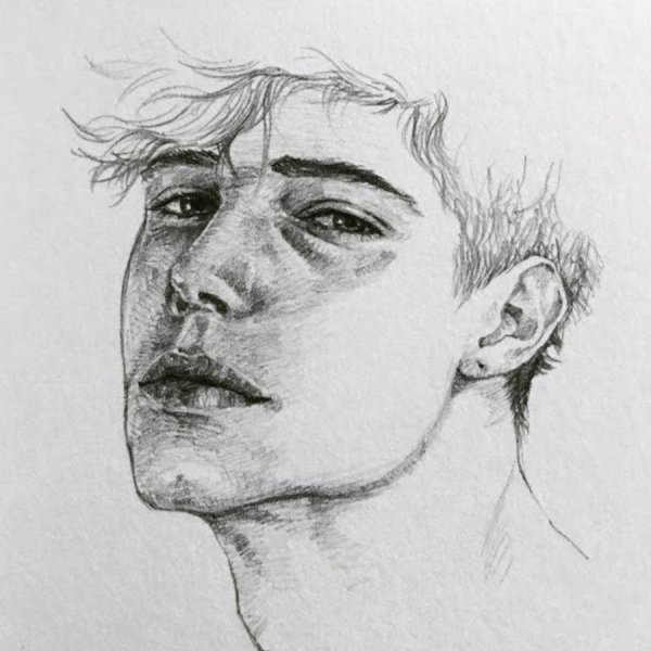 Мужское лицо рисунок