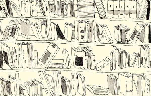 Книжная полка набросок