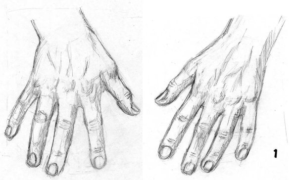 Нарисовать кисть руки
