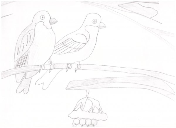 Снегирь на ветке карандашом