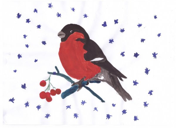 Раскраска Снегирь на ветке рябины