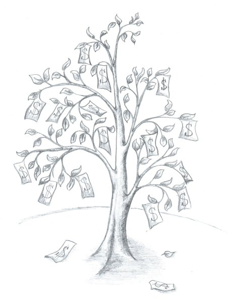 Толстянка рисунок в карандаше