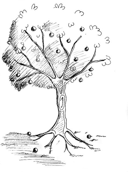 Денежное дерево нарисовать