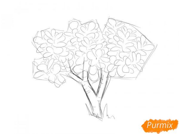 Лимонное дерево раскраска