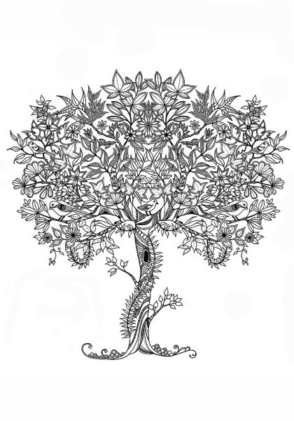 Денежное дерево рисунок карандашом