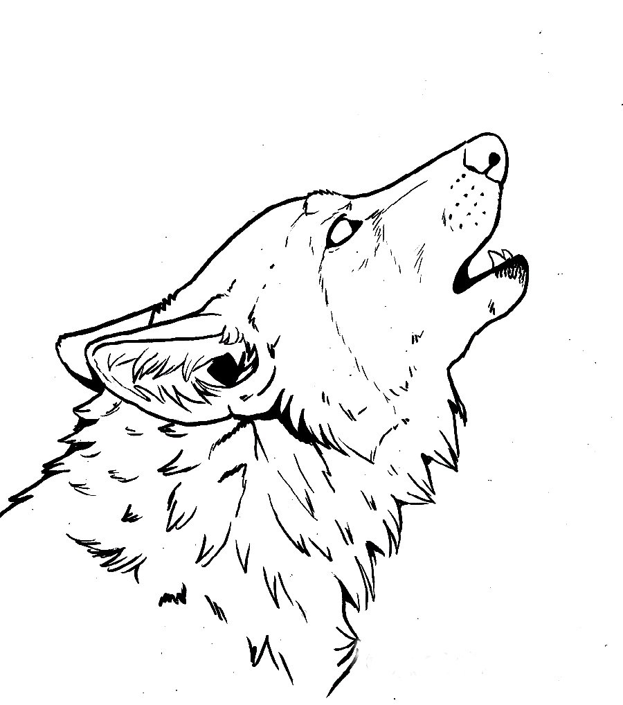Рисунок волка карандашом для срисовки морду