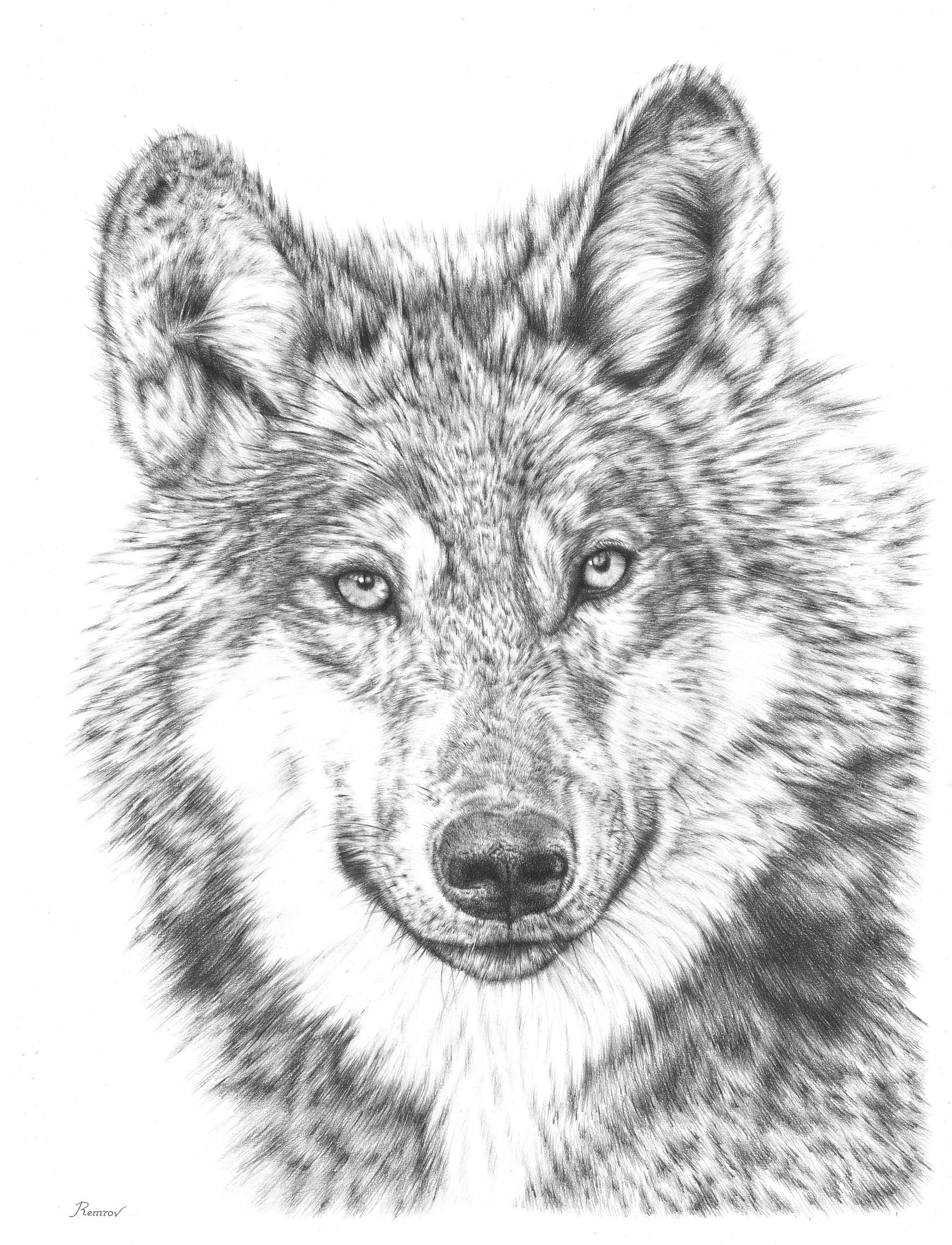 Рисунки для выжигания волк