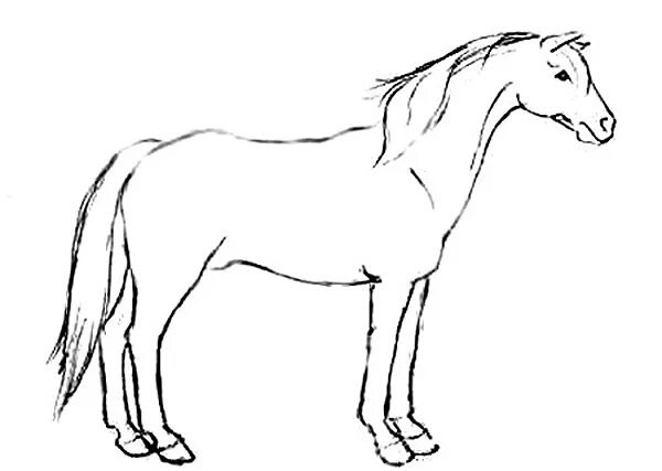 Лошадь карандашом мультяшная
