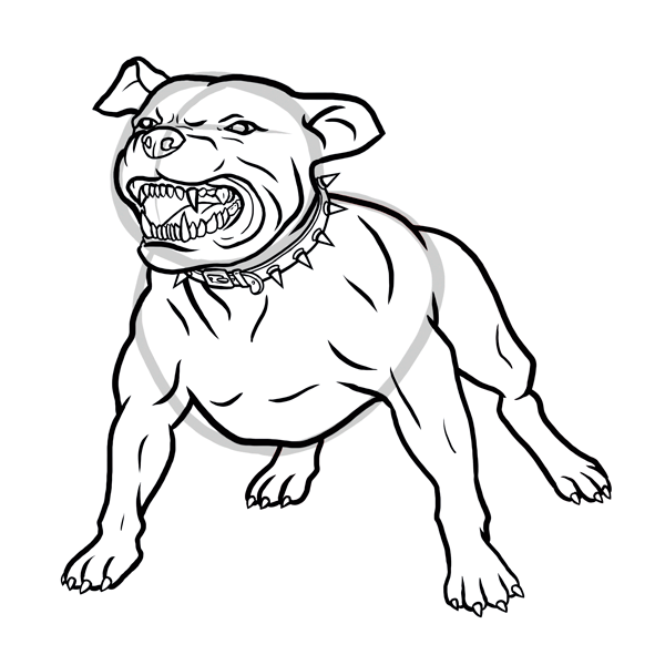 Питбуль карандашом