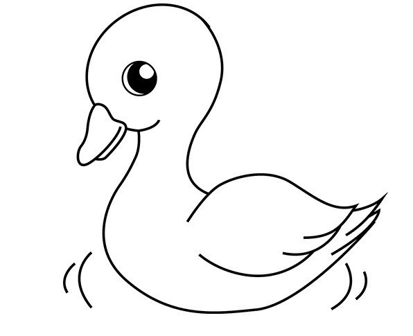 Схема рисования птицы