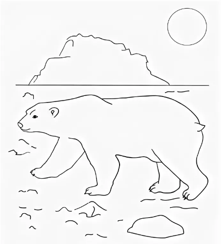 Белый медведь в Арктике раскраска