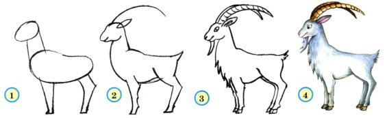 Коза рисунок для детей карандашом (48 фото)