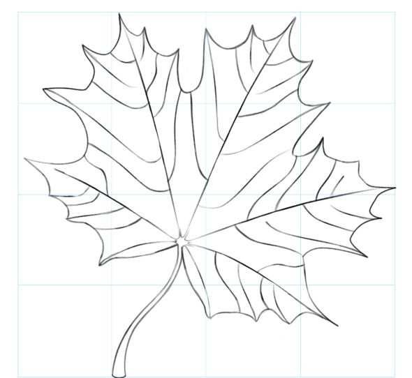 Кленовый лист раскраска
