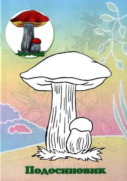 Гриб раскраска