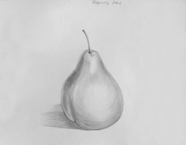 Груша рисунок для детей