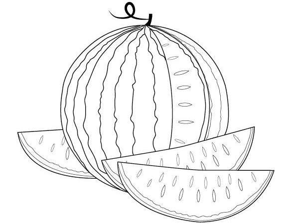 Арбуз рисунок для детей карандашом