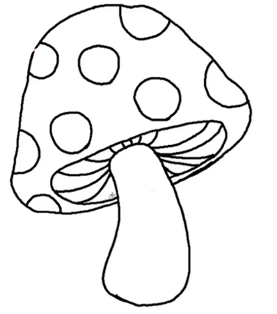 Мухомор раскраска для малышей