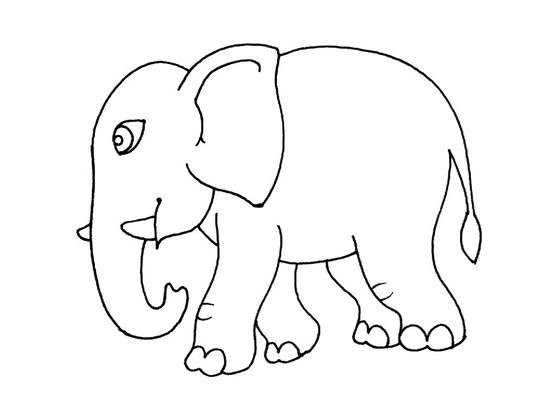 Слон рисунок карандашом для детей