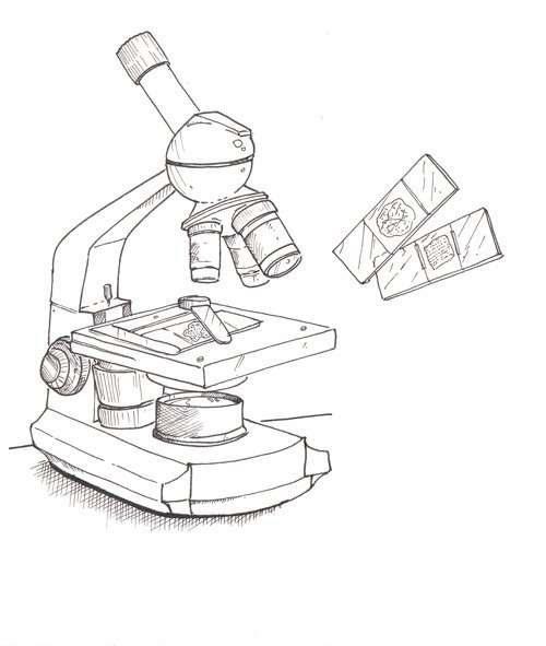Микроскоп скетч