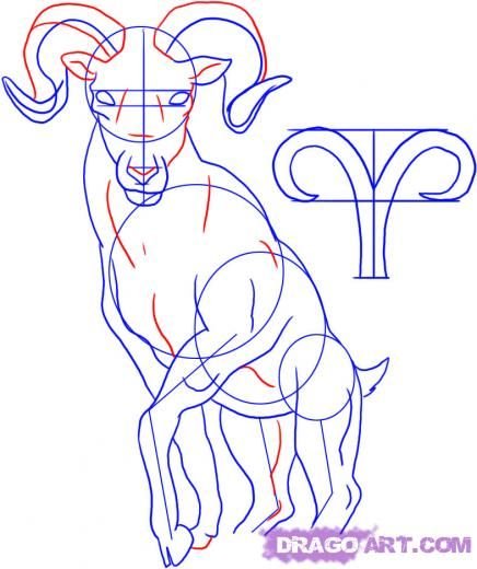 Рисунки для срисовки Овен