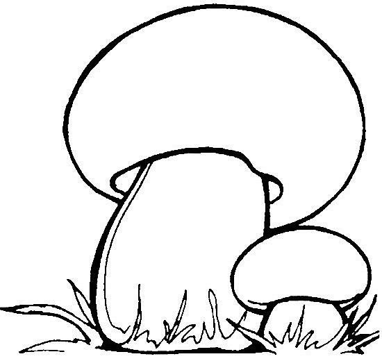 Нарисовать грибы карандашом