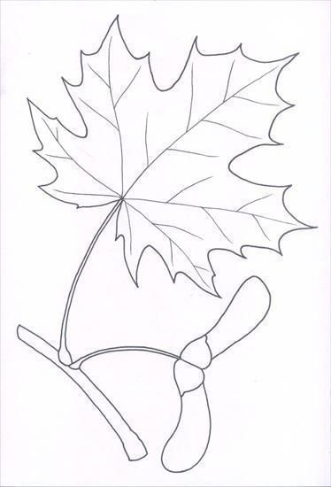 Рисунки осенних листьев карандашом для детей