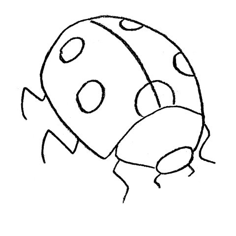 Божья коровка карандашом