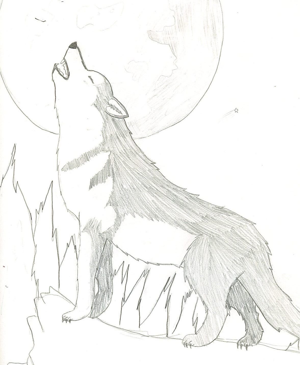 Волк рисунок карандашом поэтапно