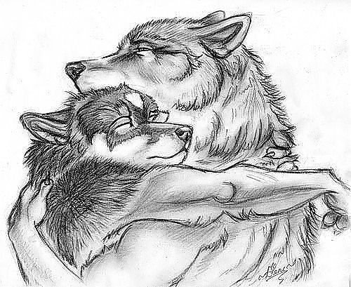 Волк обнимает волчицу