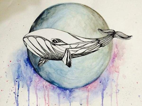 Кит карандашом