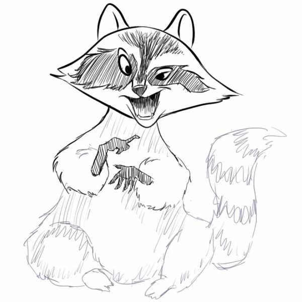 Енот Графическое изображение
