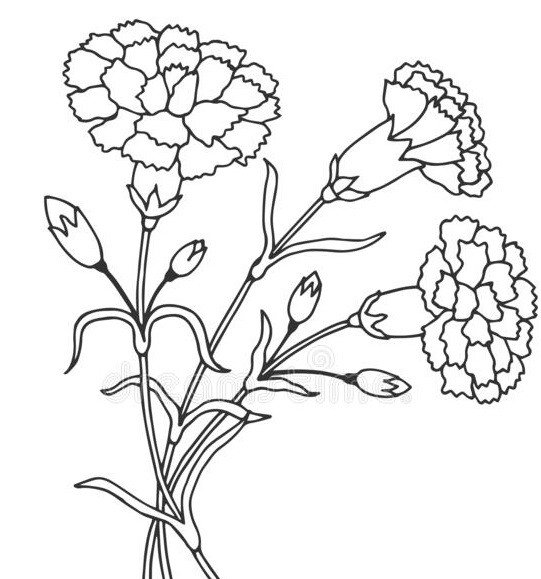 Гвоздики карандашом