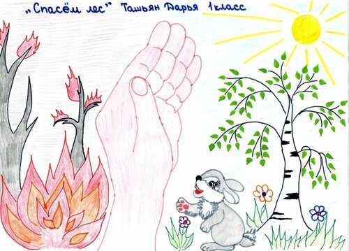 Рисунок береги природу карандашом